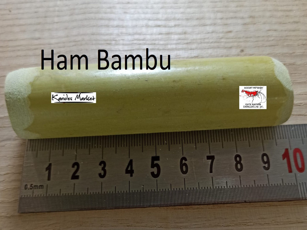 Doğal bambu Kamış 8-10 Cm Boy Karides - Kerevit Yavru Saklanma Yuva Üretim Dekor 1 Adet