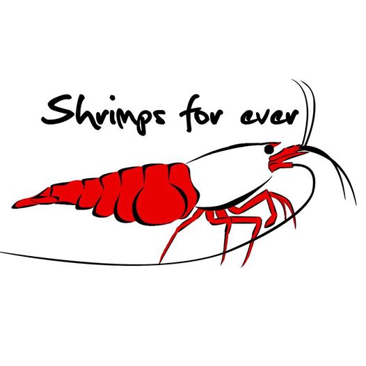 Shrimps ForEver