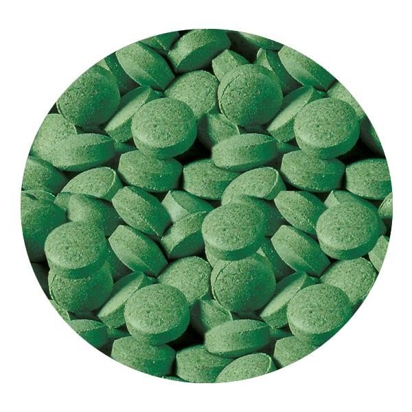 Sera Plankton Tabs Nature Yem 100 Adet Açık Kovadan Bölme SKT 11/2027 Sera Plankton Tabs Nature Yem 100 Adet Açık Kovadan Bölme SKT 11/2027