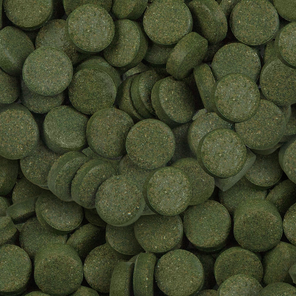 Sera Spirulina Nature Tablet Yem 50 Adet Açık Kovadan Bölme SKT 11/2027 Sera Spirulina Nature Tablet Yem 50 Adet Açık Kovadan Bölme SKT 11/2027