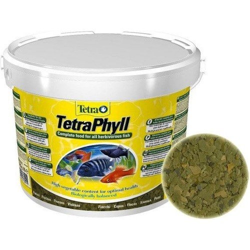 Tetra Phyll Bitkisel Pul Yem 50 Gram Yem Kovadan Bölme Açık Poşette Tetra Phyll Bitkisel Pul Yem 50 Gram Yem Kovadan Bölme Açık Poşette