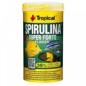 Tropical Super Spirulina Forte Bitkisel Pul 50 Gram Kovadan Bölme Açık Poşette