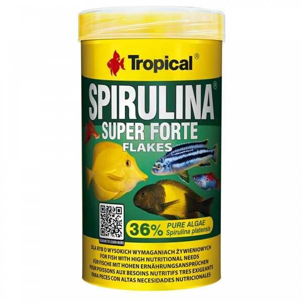 Tropical Super Spirulina Forte Bitkisel Pul 50 Gram Kovadan Bölme Açık Poşette Tropical Super Spirulina Forte Bitkisel Pul 50 Gram Kovadan Bölme Açık Poşette