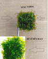 3x3 Cm Pellia Moss Pelia Tele Yeni SARIM