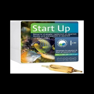 PRODiBiO Prodibio - Start Up 1 Adet Ampül
