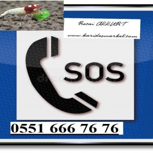 Caridina Akvaryumu Canlı Kurulum Desteği Caridina - Neocaridina Yardım Destek ( Sadece Telefon ile Bilgi verilecektir )