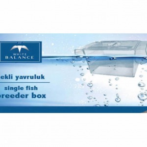 White Balance Tekli Balık Yavruluğu - Yavruluk