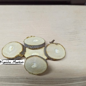 2.5 - 3 Cm Çap Moss Bitki Uygulamaları için Doğal Dekoratif Ağaç Kütük Dilimi 1 Adet