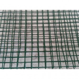 1 Adet - Moss Riccia Monte Carlo Teli Yeşil 10x10 Cm