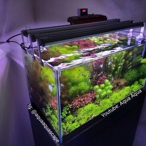 Full Spectrum Led 50 Cm / 60 Cm Armatür Akvaryumlara uygun - Bitki Işık