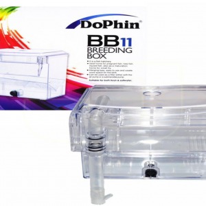 Dophin BB11 Şelale Tipi Balık Yavruluğu 1 Adet