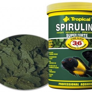 Tropical Super Spirulina Forte Bitkisel Pul Yem 50 Gram Kovadan Bölme Açık Poşette