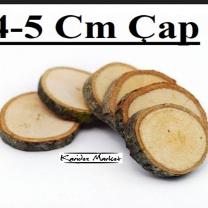 4 - 5 Cm Çap Moss Bitki Uygulamaları için Doğal Dekoratif Ağaç Kütük Dilimi 1 Adet