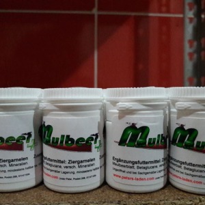 CSF Exclusıve Mulbeer + 10 Gram İthal Karides Yemi Shrimp Food