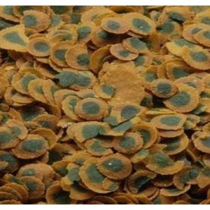 Tetra Pro Algae Multi Crisps 50 Gram Yem Kovadan Bölme Açık Poşette Spirulina Katkılı
