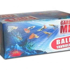 Garden Mix Küçük Boy Tekli Balık Yavruluğu - Yavruluk
