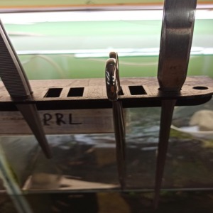 Akvaryum Organizer Raf Stand tutucu Büyük Boy 2 Vidalı Dekoratif 3D Dıy