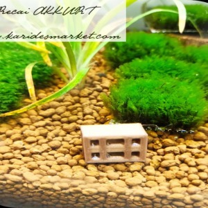 6 Gözlü MİNİK BOY  Karides Saklanma Alanı Dekor Yarım Tuğla 1 Adet - 3D Dıy