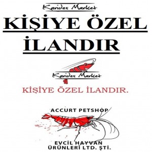KİŞİYE ÖZEL JOKER İLAN - Farklı Ürün Gruplarından Siparişler Oluşturmak İçin