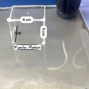 1 Adet Şeffaf Vatoz Pleco Karides Bitki ve Dekor Sehpası Ayaklı Altlık Küçük Boy