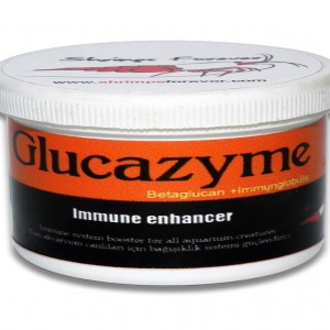GLUCAZYME (35 gr.) Bağışıklık ve Kabuk Gelişim Desteği Profesyonel Karides Yemi Shrimpsfor Ever